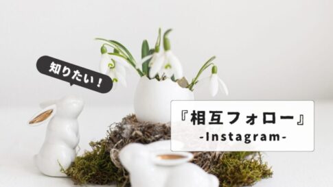 instagram-mutual-follow-confirmation