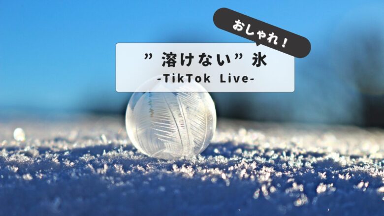 【溶けない氷】どこで買える？ビアキューブなどのおすすめ商品からコスパ最強の購入場所まで徹底解説