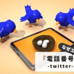 Twitter phone number error