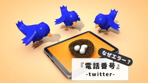 Twitter phone number error