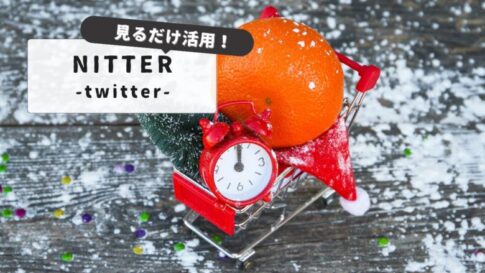 Twitter just for viewing site nitter