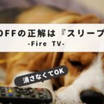 Fire Stick power off