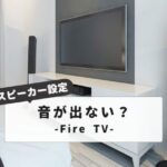 Fire Stick Speaker Connection