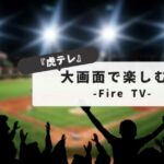 Tiger TV Fire Stick