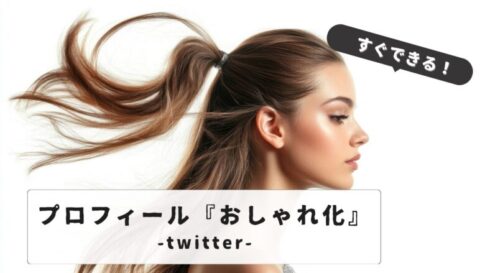 Twitter profile stylish
